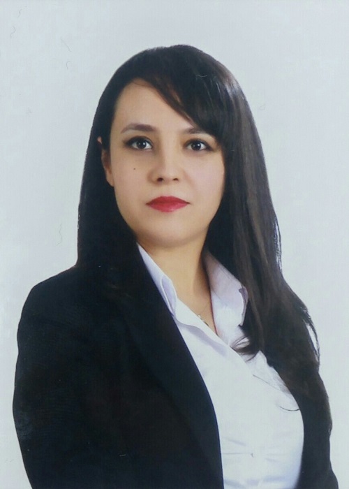 Emel Gönenmiş