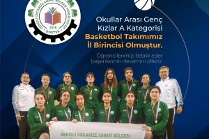 Dostek Koleji Basketbol Takımı İL BİRİNCİSİ !